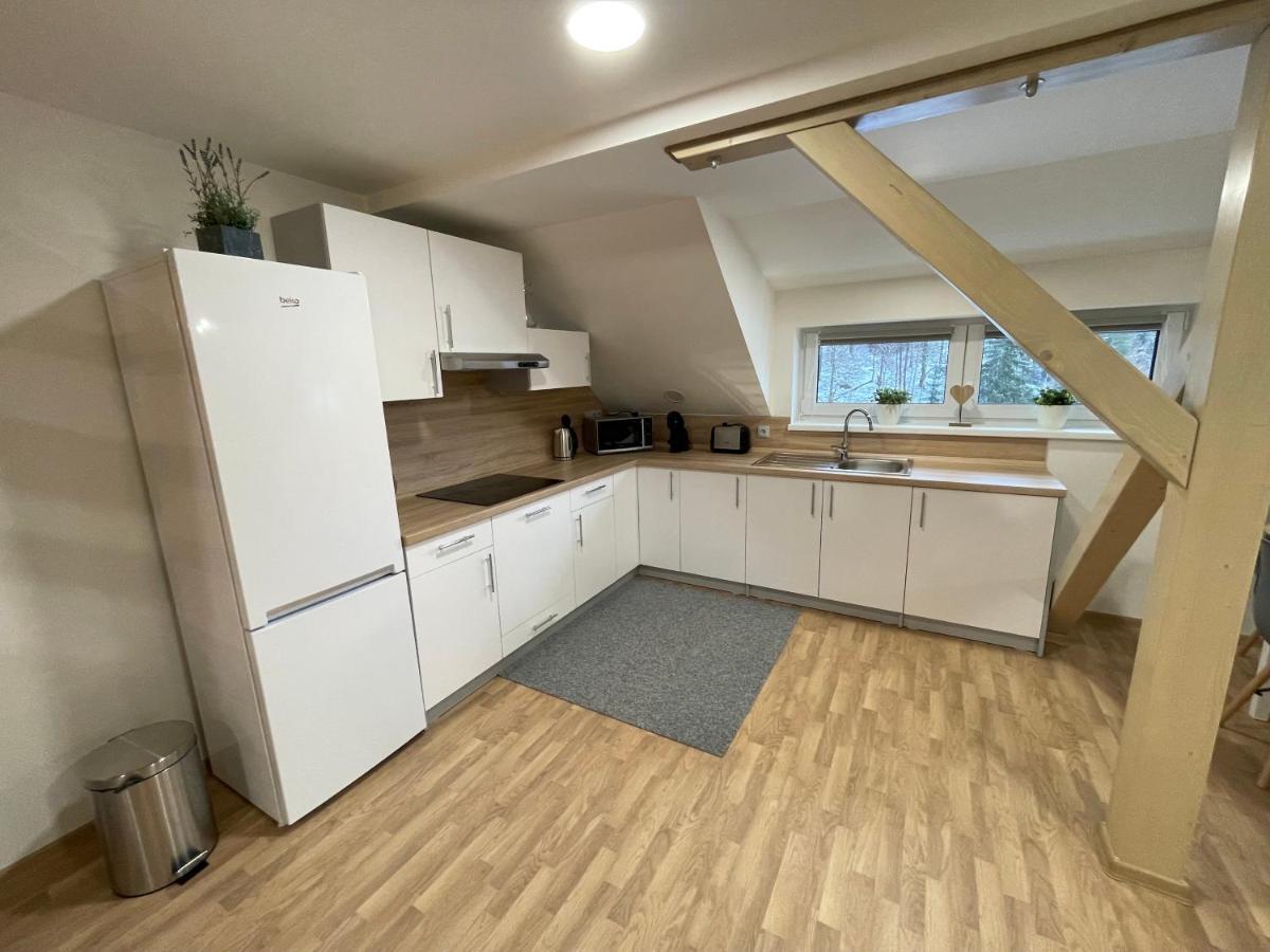 Apartmany Herc Яхимов Экстерьер фото